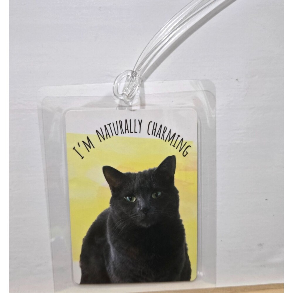 Cat Attitude Luggage Tag Set Interchangeable Funny Kitten Bag Tags Travel Gift